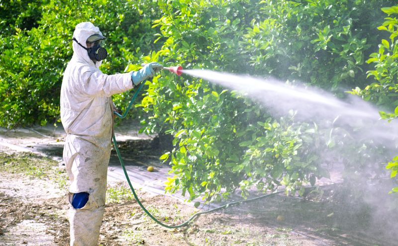 Commercial Fumigation in San Jose, CA