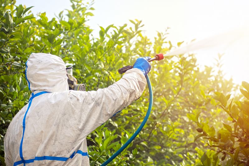 Fumigation Service in West Palm Beach, FL