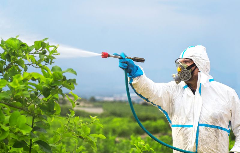 Rat Fumigation Service in Fayetteville, NC