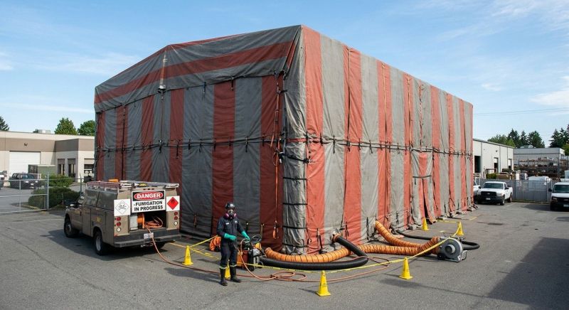 Commercial Fumigation in Bellingham, WA