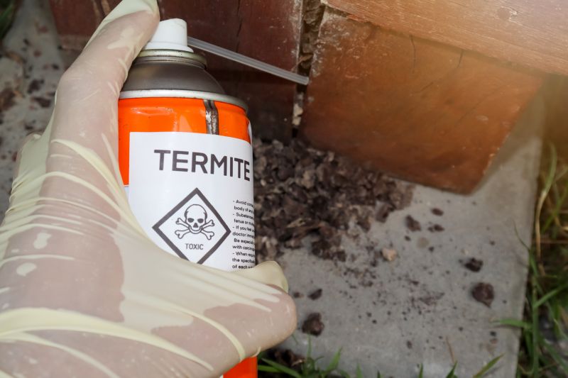 Termite Damage