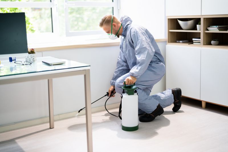 Pest Extermination Service in Katy, TX